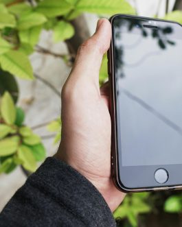 A hand holding a smartphone against a background of green leaves, capturing a modern lifestyle moment.