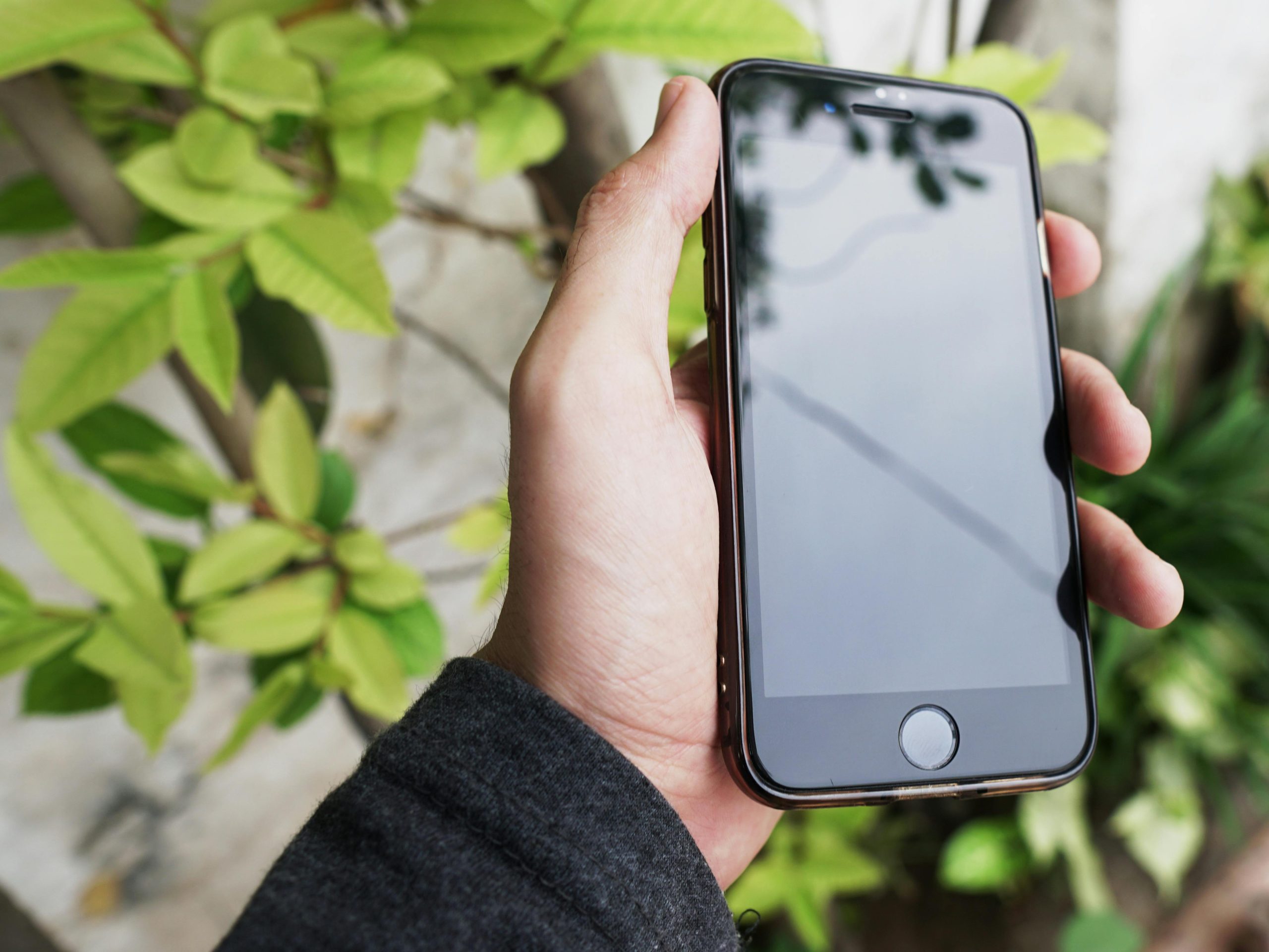 A hand holding a smartphone against a background of green leaves, capturing a modern lifestyle moment.